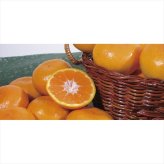 送料無料 お歳暮　ダイワ果園 和歌山県産 田村樽みかん TMM-50RW ※11/2以降の出荷予定となります。北海道・沖縄・離島は配達不可 全国送料無料 お歳暮ギフト 早割 お歳暮2026 御歳暮 御見舞 お見舞い お取り寄せ グルメスイーツ