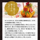 スヌーピー 正月飾り 干支未 未 置物 十二支 飾り ピーナッツ 陶器製 お正月飾り 正月飾り置物 干支の置物 迎春飾り 十二支 おしゃれ 羊 ヒツジ ひつじ 2027 木札特典付き かわいい ディスプレイ 玄関飾り .干支置物.
