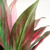 観葉植物 造花 ドラセナ パープル BROWN 全高約180cm 大型 フェイクグリーン 高級 本物そっくり リアル おしゃれ 赤 紫 インテリア 人工観葉植物 アーティフィシャルグリーン モダン オフィス 店舗 ホテル 開店祝い 室内 リビング 玄関 風水 フェイク