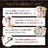 しめ縄 国産 日本製 おしゃれ 注連縄 しめ飾り 正月飾り 玄関 モダン 水引 リース 喜秀 迎春 お正月飾り 干支 十二支 門松 .しめ縄.