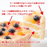 クリスマス 限定 豆乳クリームのファーストバースデーケーキ 3号 2026 ファーストバースデーケーキ １歳の誕生日ケーキ 一歳 １才 一才 赤ちゃん 乳幼児 バースデーケーキ お祝い Xmasケーキ  Xmasギフト スマッシュケーキ 