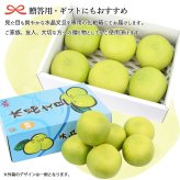 水晶文旦 特選品 3kg 5kg 大玉 家庭用 贈答用 高知県 土佐市産 生産者直送 Aランク 高知産 ハウス栽培 温室栽培 秋文旦 早生ぶんたん 秋の味覚 高級ギフト 化粧箱入り 産地直送 高級フルーツ 柑橘 果物 【送料無料】