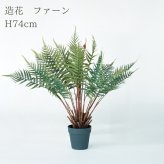 観葉植物 造花 ファーン BROWN 全高約74cm 卓上・小型 フェイクグリーン 本物そっくり おしゃれ インテリア 人工観葉植物 アーティフィシャルグリーン オフィス 店舗 ホテル 開店祝い 室内 ミニ シダ 観葉 フェイク