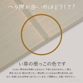 撥水 国産 い草 日本製 置き畳 ユニット畳 簡単 和室 ナチュラル 約88×88cm 単品