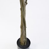 観葉植物 造花 ベンジャミン BROWN 全高約210cm 大型 フェイクグリーン 高級 本物そっくり リアル おしゃれ インテリア 人工観葉植物 アーティフィシャルグリーン 自然樹形 オフィス 店舗 ホテル 開店祝い 室内 リビング 玄関 風水 ベンジャミナ