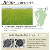 夏ラグ 夏用カーペット 純国産 い草 上敷き カーペット 糸引織 『柿田川』 江戸間6畳(約261×352cm）