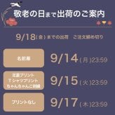 敬老の日 健康 健康祈願 【 健康を願う お守りマスコット 】 おばあちゃん おじいちゃん 誕生日プレゼント お守り 癒し 可愛い キーホルダー 名入れ 70代 80代 孫から 施設 デイサービス 子供から 和風 花以外 食品以外 長寿ギフト マスコット 孫 花以外 食品以外 オキシトシン 長寿 プレゼント 御守 くま テディベア 【心あたたまる 形に残る贈り物】健康祈願ベアお守り 80226