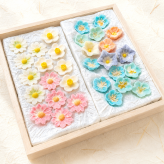 落雁「涼風花」