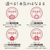 ＜即日発送＞ スタンプ はんこ 本気のはなまるスタンプ 先生スタンプ ごほうびスタンプ 評価印 先生 みました ハンコ おしゃれ ほめる 花スタンプ サクラ チューリップ ミモザ 教師 塾 学校 判子