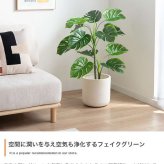 【高さ90cm】光触媒人工観葉植物 モンステラ 幅50cm×奥行50cm×高さ90cm リビング ダイニング 天然木 お部屋に気軽に飾れて空間を美しく彩るフェイクグリーン 本物の植物のようなリアルな質感とインテリアに馴染む風合いが魅力です