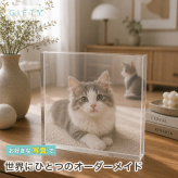 猫 ガラスブロック ペット 子猫 飼い主 ディスプレイ 記念日 サプライズ うちの子記念日 名入れ 愛猫 プレゼント ペットロス うちの子 フォトキューブ 虹の橋 メモリアルフォトフレーム 贈り物 写真立て ペット仏壇 ギフト クリスタル 写真 メモリアル 記念 フォトフレーム おしゃれ メモリアルグッズ オーダーメイド 感謝 ペットメモリアル メモリアルプレート オリジナル 愛犬家 犬【c01】