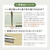 い草カーペット 涼み 裏貼り 江戸間 2畳 3畳 4.5畳 6畳 8畳 い草ラグ 天然い草100％ メセキ織 不織布 クッション性 床傷対策 和モダン 花ござ 上敷き 畳保護 四方縁 抗カビ 消臭 ブラウン 夏用 涼感 和室 洋室 折りたたみ 収納