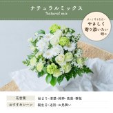フラワーギフト カラフルガーデンフラワーアレンジメント Mサイズ 生花 花市場から直送 父の日  お祝い 誕生日 記念日