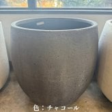 鉢カバー おしゃれ 大型 15号 11号 M S サイズ 植木鉢 KONTON コントン ループス イグニアス 丸型 ラウンド ファイバーストーン 軽量 室内 屋内 高級 北欧 モダン ナチュラル 観葉植物用 サボテン 多肉植物 特大 玄関 プランター 底穴なし オフホワイト チャコール