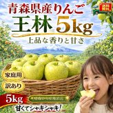 新物！青森県産　りんご　王林　訳あり　ご家庭用　5kg　12-25玉程度　送料無料！