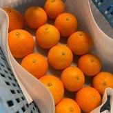 愛媛 エヒメエンゲージファーム 柑橘ジュース 飲み比べセット 2種 計12本入 フルーツジュース 果汁飲料 ストレート ジュース 国産