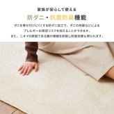 ラグ カーペット 国産高機能 ララ 約130×190cm 防ダニ 抗菌 防臭 防音 防炎 制電 日本製 ナイロン 無地