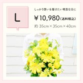 【おまかせアレンジメント】【選べる5色】【Lサイズ】【バルーン追加OK】【送料込】フラワーアレンジメント おまかせ制作 最短翌日届 誕生日 お祝い 結婚祝い 出産祝い 還暦祝い 古稀祝い 喜寿祝い 傘寿祝い 米寿祝い 退職祝い 結婚記念日 引っ越し祝い 新築祝い 産休祝い 開業祝い 開店祝い 記念日 周年祝い フラワーアレンジメント 生花 バルーンフラワー 生花 センスがいい フラワーギフト