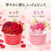 プリザーブドフラワー ギフトアレンジメントソルベ / プリザーブドフラワー バラ 花 ギフト 誕生日 母の日 敬老の日 結婚祝い 送別 新築祝い おしゃれ ケース付き / 色鮮やかなローズと上品なリボンが彩る そのまま飾れる華やかなフラワーギフト