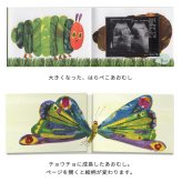 はらぺこあおむし エコー写真が収納できるアルバム 「10ツキ10カものがたり」 | エコー写真 保存 エコーアルバム フォトアルバム マタニティ アルバム