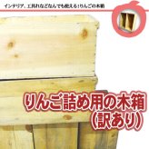 木箱2箱 りんご 箱 りんご箱 アンティーク 収納ボックス DIY 送料無料 20kg入用×2箱（木箱のみ） ※沖縄送料別途加算 男前インテリア ポイント消化