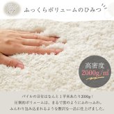 ラグ カーペット 玄関マット マット シャギー 洗える ふわふわ 北欧 おしゃれ オールシーズン 極厚 厚手 マイクロファイバー 速乾保温 かわいい 冬 冬用 秋冬用 長方形 ふかふか