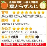 【11月中旬頃発送】一華ベジフル 送料無料 葉とらず サンふじ 家庭用 3C箱(3kg箱:約7～10個入) りんご 青森県産 蜜入りリンゴ 蜜入りりんご 訳あり 葉取らず 林檎 送料無料 ギフト 御歳暮 お歳暮 ギフト お試し フルーツ 果物 クリスマス お正月 2026