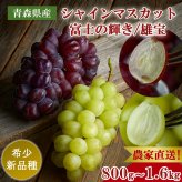 れいたす 青森産 シャインマスカット 富士の輝き・雄宝 選べる2サイズ, 800g 1.6kg