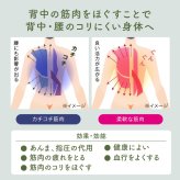 座椅子 からだスッキリ座椅子 ホグレッシュ PROIDEA プロイデア 背中刺激 6つの突起 姿勢サポート 骨盤サポート 折りたたみ コンパクト 持ち手付き 耐荷重100kg リラックス デスクワーク 在宅ワーク ブラウン グリーン 母 父 ご両親 祖父母 誕生日 敬老の日 プレゼント ギフト