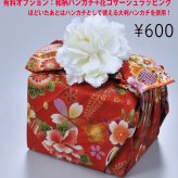 卒業 退職 【名入れギフト 陶器】有田焼　赤富士　フリーカップ