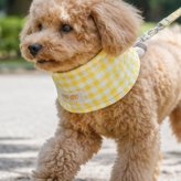 犬用 ネッククーラー 名入れ｜ワッペン付き ペット 暑さ対策【送料無料】