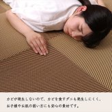 ラグ カーペット 洗える ござ 日本製 国産 丈夫 除菌スプレー対応 敷詰 敷物 ナチュラルスタイル アウトドア レジャー ペット 江戸間6畳（約261×352cm）