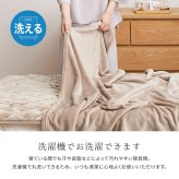 毛布 メレンゲタッチ 約140×200cm シングル 薄手 洗濯機で洗える 2層構造 フランネル ブランケット