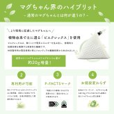 ピエクレックス マグちゃん 送料無料 80g マグネシウム 粒 洗濯 洗濯マグちゃん マグちゃん magchan 抗菌 植物由来 消臭 洗浄 除菌 すすぎ1回 界面活性剤ゼロ 洗濯補助 宮本製作所 アートナップ