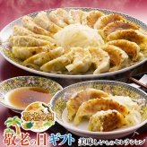 敬老の日 ギフト 浜松 餃子 ｜15粒×3トレイ、餃子のたれ×6袋｜敬老の日メッセージ付【お届け期間：9月19日～9月21日】 遅めの お中元 ※沖縄・北海道は配送不可