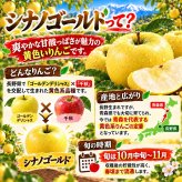 青森県産　りんご　シナノゴールド　訳あり　3kg　送料無料！
