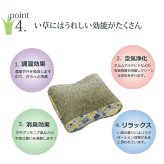 クッション い草 い草クッション 花柄 『フォンターナ フィット』 約40×30cm