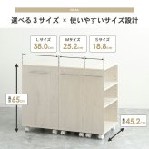 ラック 押入れ収納 奥行45cm 選べる幅3サイズ (19/25/38cm) IW-24 クローゼット収納 リビング収納 すき間収納 サニタリー収納 新生活