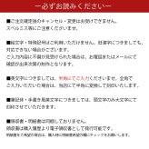 【名入れ無料】 栃木レザー コインキャッチャー コインケース 小銭入れ 本革 財布 ミニ財布 コンパクト メンズ レディース 牛革 レザー レール 見やすい 取り出しやすい 仕分け ファスナー 刻印 ギフト プレゼント 父の日 母の日 敬老の日 就職祝い 贈り物 送料無料 レトロ