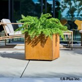コールテン鋼 高級植木鉢 おしゃれ 大型 スクエア 50cm四方 アンティーク 経年美 Patina スクエアプランターL500 A-PLUS 屋外 観葉植物 多肉植物 サボテン シンボルツリー 寄せ植え 花 鉢カバー 北欧 モダン 玄関 庭 パティナ