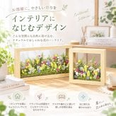 ギフト プレゼント 花 プリザーブドフラワー 洋風 花心／送料無料 プレゼント ギフト 出産祝い 結婚祝い 結婚記念日 誕生日 プロポーズ 退職祝い 引越し祝い バラ 花 おしゃれ 電報 祝電 還暦祝い 長寿祝い サプライズ 額縁 フレーム