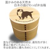 Fave バーニーズマウンテンドッグ 丸型二段 曲げわっぱ 弁当箱 たっぷり 700ml 天然木 白木 わっぱ 木製 オリジナル 犬 バーニーズ バニ ペット 動物 アニマル ホワイトデー