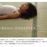夏ラグ 夏用カーペット 純国産 い草 上敷き カーペット 双目織 『草津』 本間6畳(約286×382cm）