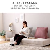 ソファ 座椅子 大人かわいい アイランド 2人掛け