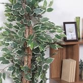 ガーデン エクステリア 観葉植物 フィカス ６９０ Ａ フェイクグリーン 植物 緑 グリーン 癒し 植木 インテリア ガーデニング おしゃれ カフェ リビング プランター ギフト プレゼント 贈り物 オフィス 会社 枯れない 簡単 手入れ 人気 樹木
