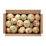 淡路島産 新玉ねぎ 5kg