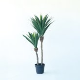 観葉植物 造花 ユッカ BROWN 全高約115cm 中型 フェイクグリーン 本物そっくり おしゃれ インテリア 人工観葉植物 アーティフィシャルグリーン オフィス 店舗 ホテル 開店祝い 室内 青年の木 エレファンティペス フェイク