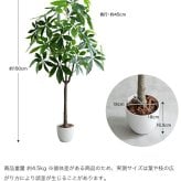 照明 ライト パキラ 観葉植物 人工 フェイクグリーン 室内 リビング オフィス 一人暮らし 緑 インテリア 光触媒 空気清浄 消臭 抗菌 防汚 ホルムアルデヒド分解 おしゃれ 高さ150cm 造花 植木 鉢植え 新築祝い 開店