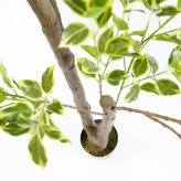 観葉植物 造花 斑入りベンジャミン BROWN 全高約210cm 大型 フェイクグリーン 高級 本物そっくり リアル おしゃれ 明るい インテリア 人工観葉植物 アーティフィシャルグリーン オフィス 店舗 ホテル 開店祝い 室内 リビング 玄関 風水 ベンジャミナ