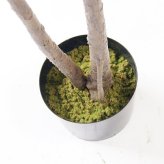 観葉植物 造花 マホニア コンフューサ BROWN 全高約180cm 大型 フェイクグリーン 高級 本物そっくり リアル おしゃれ 和風 和モダン インテリア 人工観葉植物 アーティフィシャルグリーン オフィス 店舗 ホテル 旅館 開店祝い 室内 リビング 玄関 庭木 細葉ヒイラギナンテン